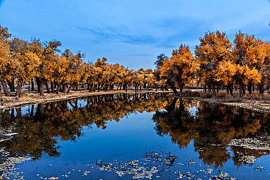 《夺宝奇兵：古老之圈》抢先体验版无法支持路线追踪